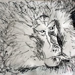 Dibujo - Papión